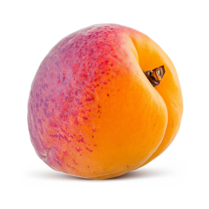 The Flavor Apprentice - Apricot