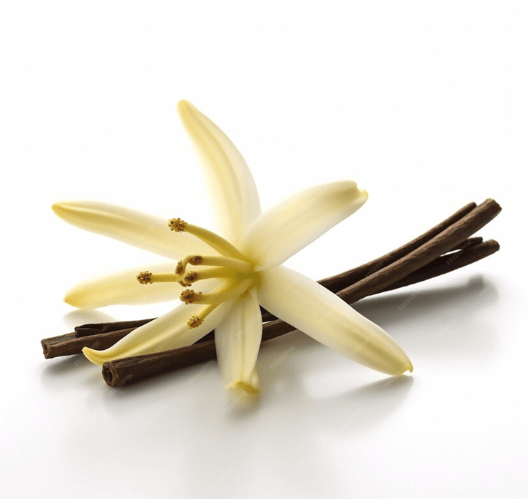Wonder Flavours - French Vanilla (Thick) SC