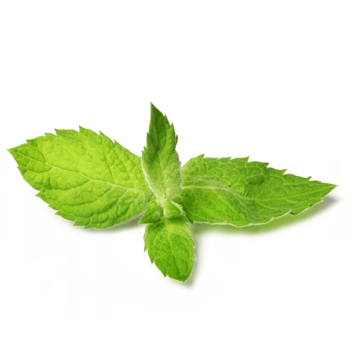 Sobucky Super Aromas - Fresh Mint (fmr MB)