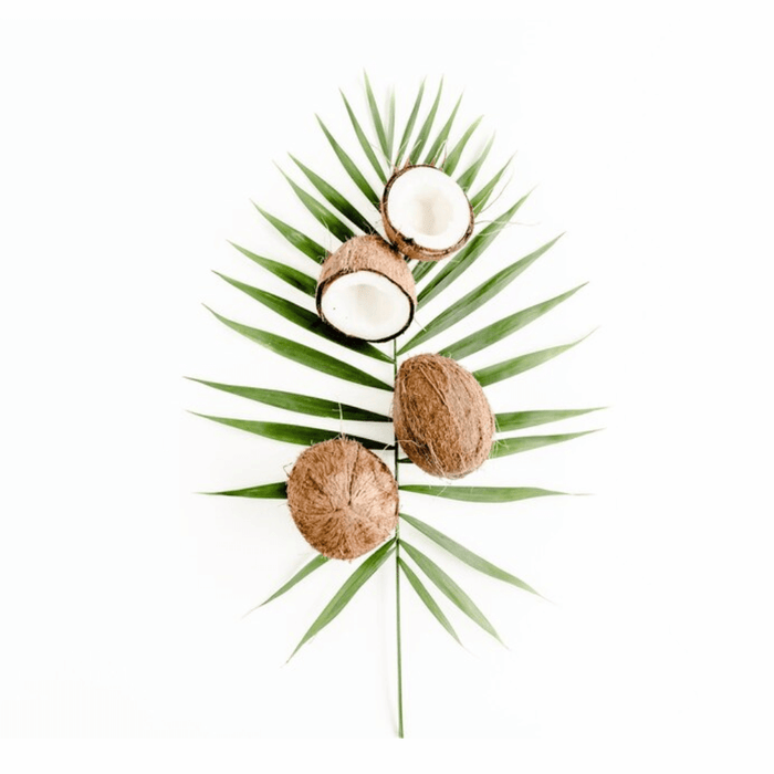 Sobucky Super Aromas - Palm Coconut (fmr MB)
