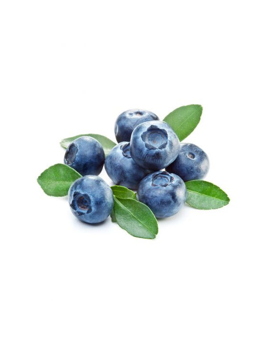 Capella - Blueberry