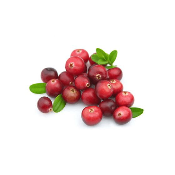 Capella - Cranberry