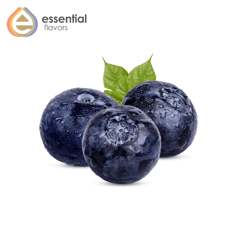 Essential Blueberry