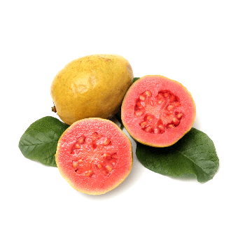 FlavourArt - Guava