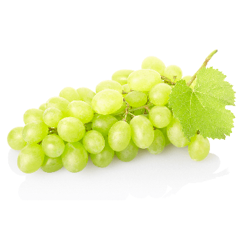 FlavourArt - Grape White